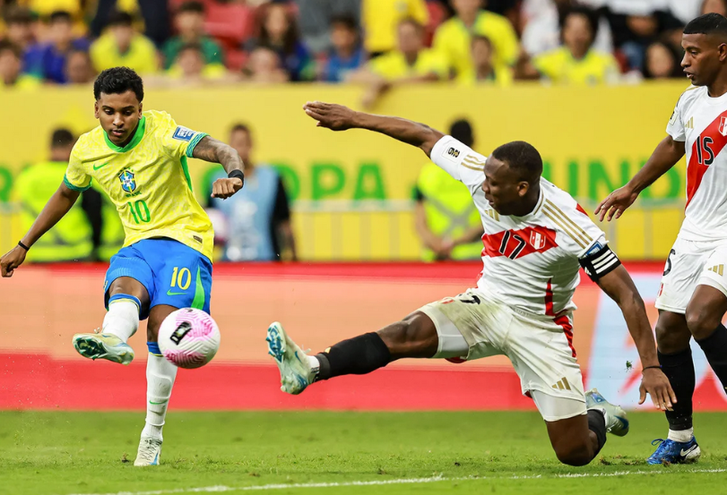 理和娴熟的 理和娴熟的