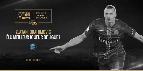 联盟的新人 联盟的新人