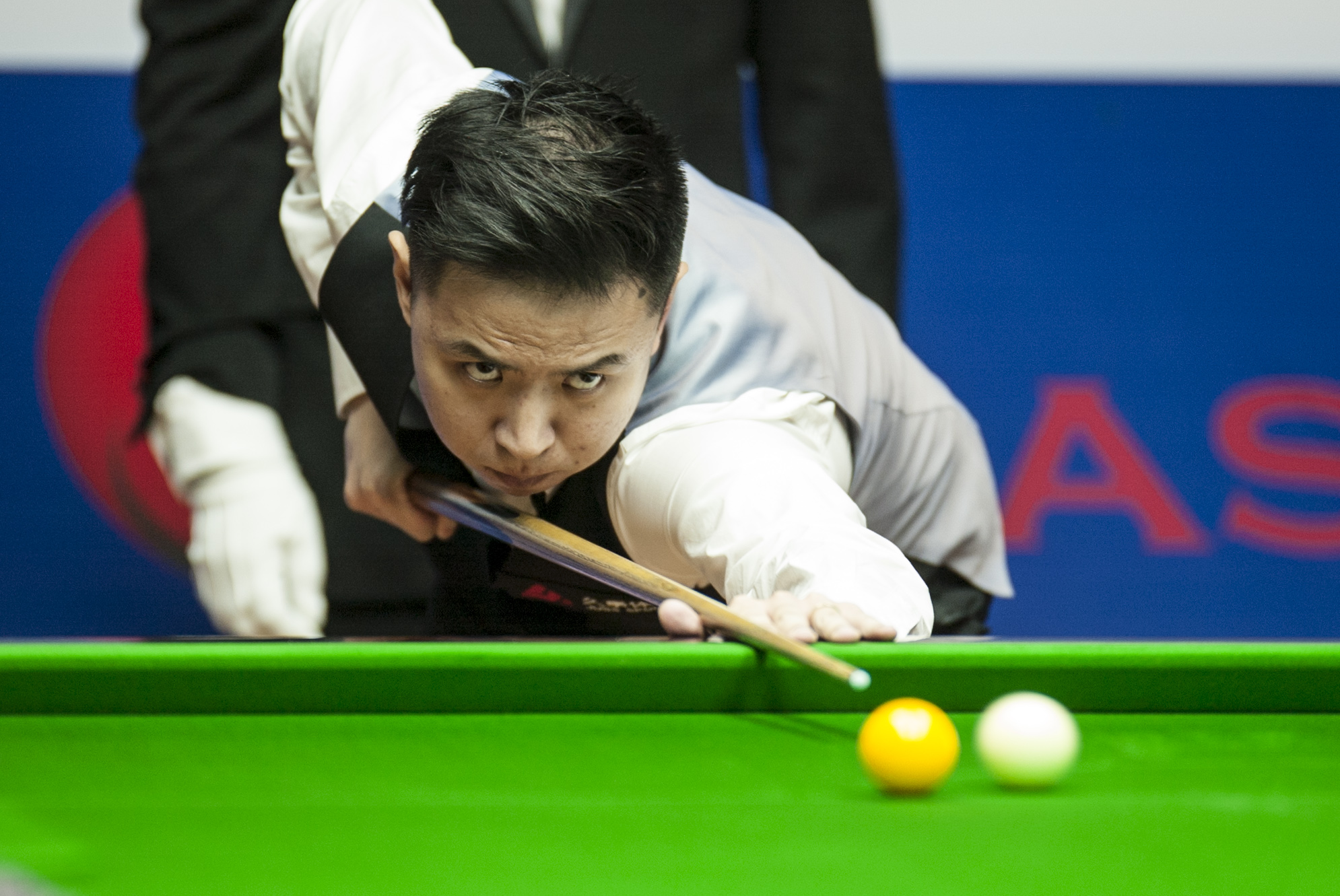 有着惊人的 有着惊人的