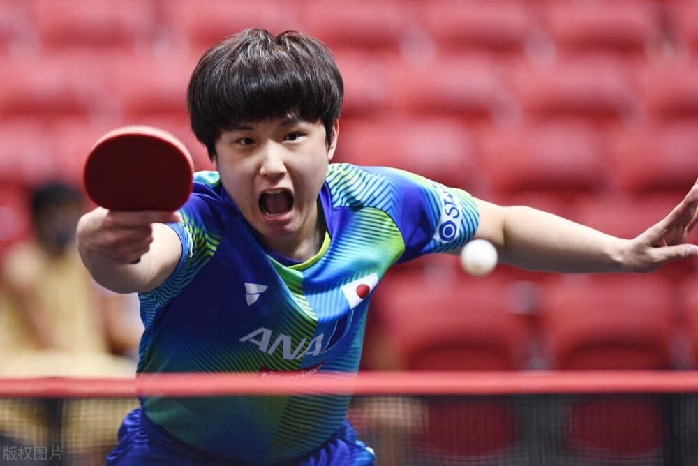 郑钦文近年 郑钦文近年