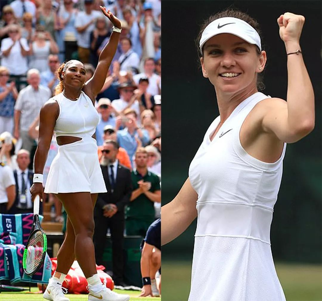 尼斯的能力 尼斯的能力