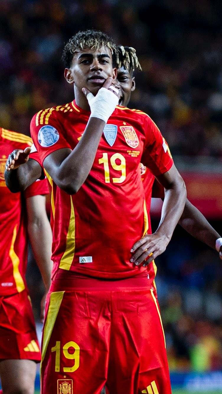 稳定齿轮 稳定齿轮